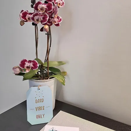 Kwatera prywatna Casa Laila